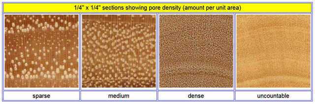 wood grain PORE DENSITY