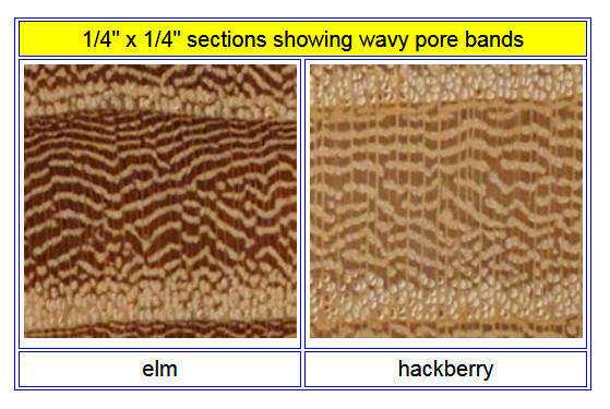 wood grain WAVY BANDS