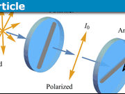 Entangled Photon Polarization Qubits