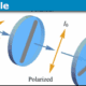 Entangled Photon Polarization Qubits