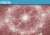 quantumapplitudes