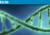 CrispR DNA