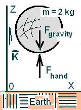 Hand Mass FBD