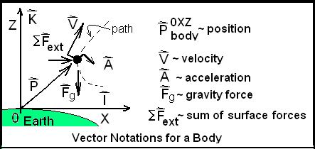 Body Vectors