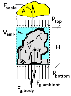 Suspended FBD