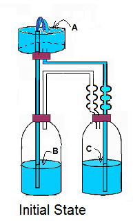Bottles 02