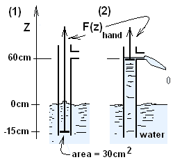 Bilge Pump New