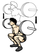 Squat 80