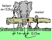 Elephant Jp1