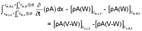 Rey 7