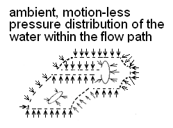 Ski 1