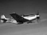 P51 Img