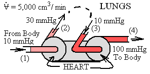 Two Pumps